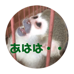 Sakamoto-Zoo