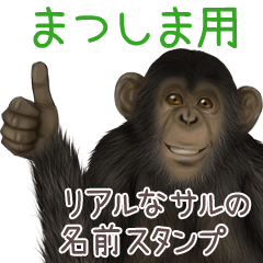 Matsushima Monkey's real name Sticker