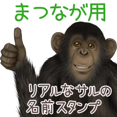 Matsunaga Monkey's real name Sticker