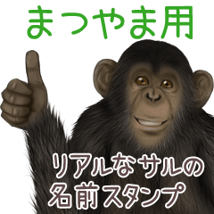 Matsuyama Monkey's real name Sticker
