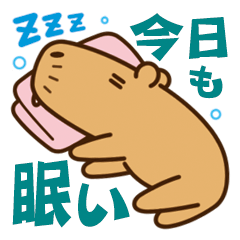 Always sleepy capybara2.
