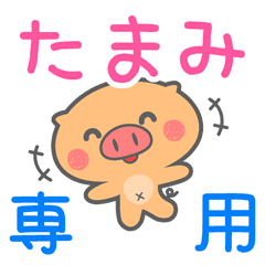 「たまみ」さん 専用スタンプ