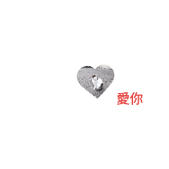 迷貓