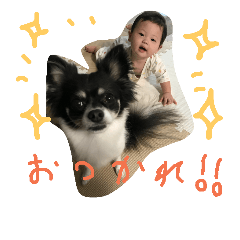 nanami_20181012210100