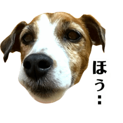 chimaki 2