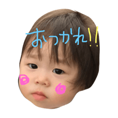 himakko3