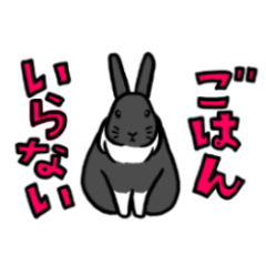 Mohumohu usagi for rabbits lovers boys