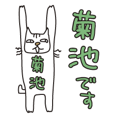 Only for Mr. Kikuchi Banzai Cat
