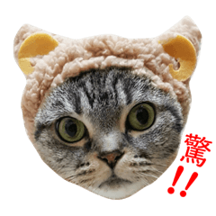 阿摳的日常生活 (客串帥到掉渣的杜賓阿嗚）