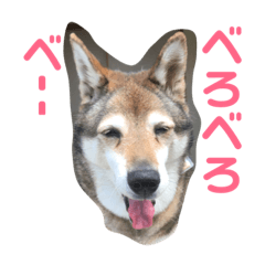momoco999