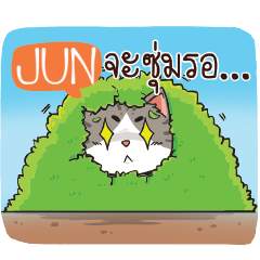 JUN cheeky cat e