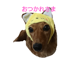 cocoa_20181013052543