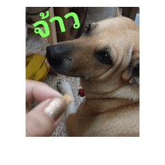 Hello_18