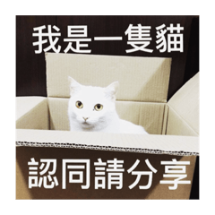 派嚕派嚕