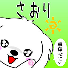 Saori only cute Maltese Sticker