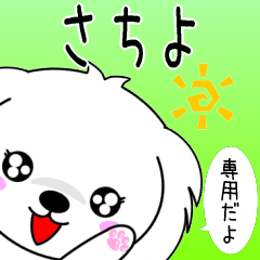 Sachiyo only cute Maltese Sticker