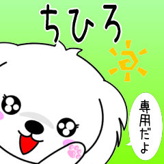 Chihiro only cute Maltese Sticker