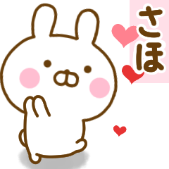 Rabbit Usahina love saho