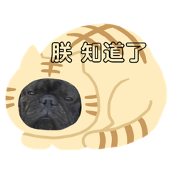 啊噗哩的家庭成員