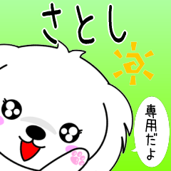 Satoshi only cute Maltese Sticker