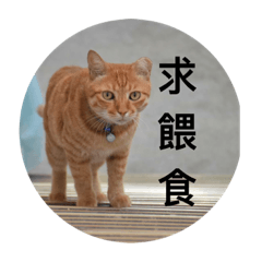 典雅國樂社-玩樂篇