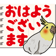オカメインコ ピーちゃん Vol 6 デカ文字 Line スタンプ Line Store オカメインコ ピーちゃん Vol 6 デカ文字 Line スタンプ Line Store