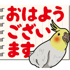 オカメインコ ピーちゃん Vol 6 デカ文字 Line スタンプ Line Store