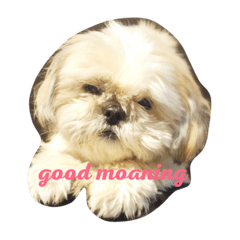 Hana_20181015103645