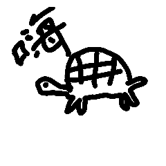 小烏龜1