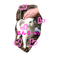 minako_20181015142012