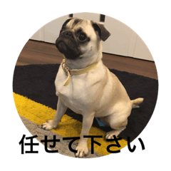 okogepug