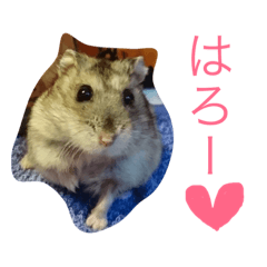 hamuhamu"stamp