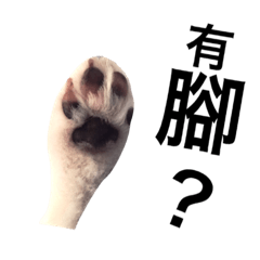 酷寶的生活表情(貳)