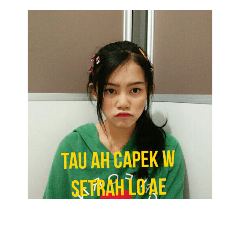 JOPENN 3