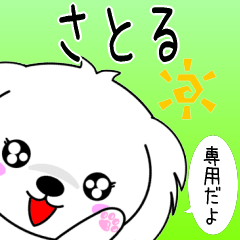 Satoru only cute Maltese Sticker