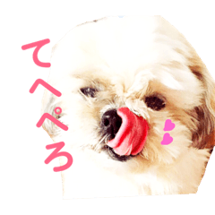 Hana_20181015235016