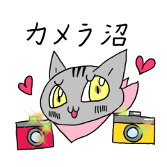 Cat stickers: love camera #2