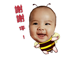 小湯圓寶比