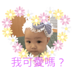 寶寶版