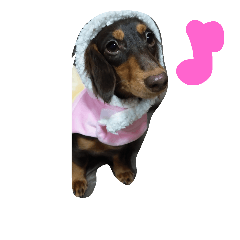 cocoa_20181016191228