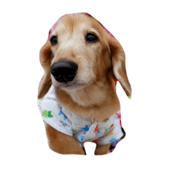 KUUSTMP