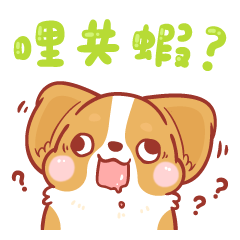 Corgi Dog KaKa [commonly used sayings]