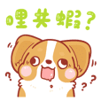 Corgi Dog KaKa [commonly used sayings]