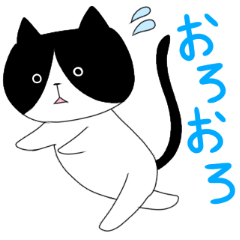 Cat Chiroru daily life