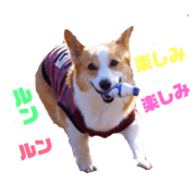 TOM&RAM_20181017030349