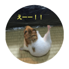 kin0315