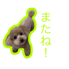 Tori_20181017002651