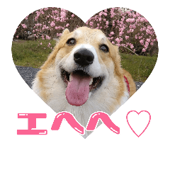 くらむたんのスタンプ