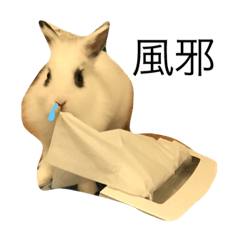 ライオンラビット Line スタンプ Line Store