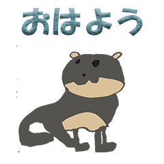 Polite japanese otter